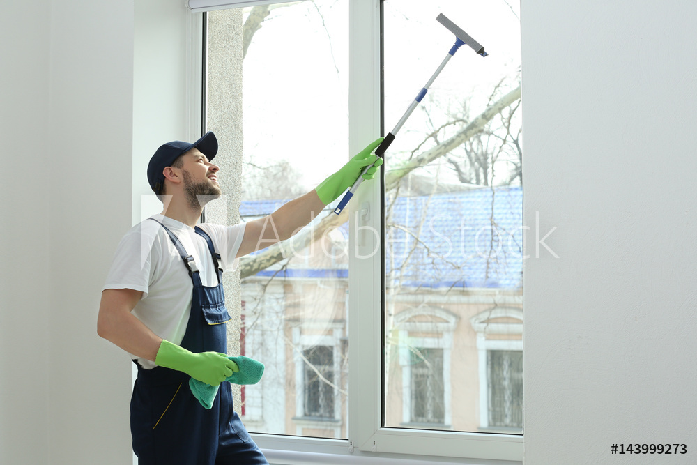Professional Window Cleaner