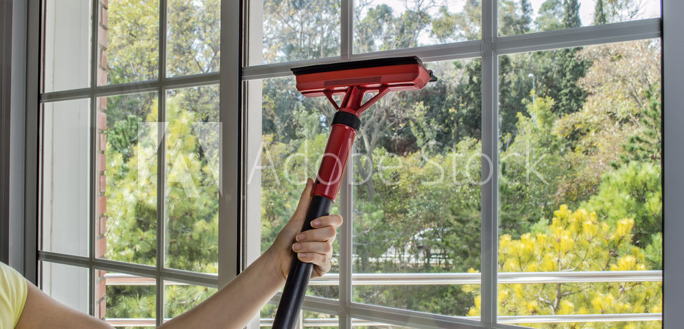 Professional Window Cleaning Company